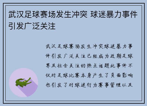 武汉足球赛场发生冲突 球迷暴力事件引发广泛关注