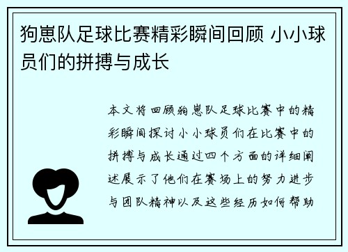 狗崽队足球比赛精彩瞬间回顾 小小球员们的拼搏与成长