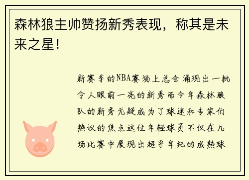 森林狼主帅赞扬新秀表现，称其是未来之星！