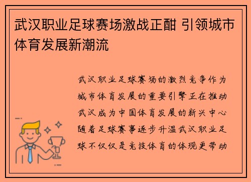 武汉职业足球赛场激战正酣 引领城市体育发展新潮流