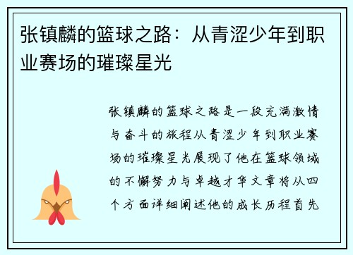 张镇麟的篮球之路：从青涩少年到职业赛场的璀璨星光