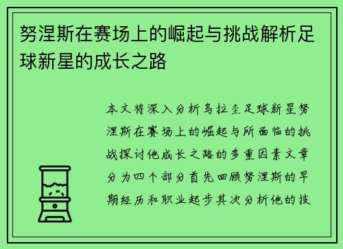 努涅斯在赛场上的崛起与挑战解析足球新星的成长之路