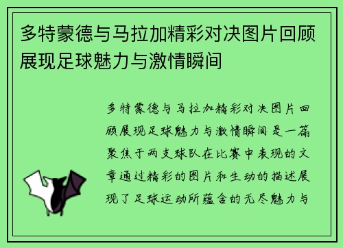 多特蒙德与马拉加精彩对决图片回顾展现足球魅力与激情瞬间